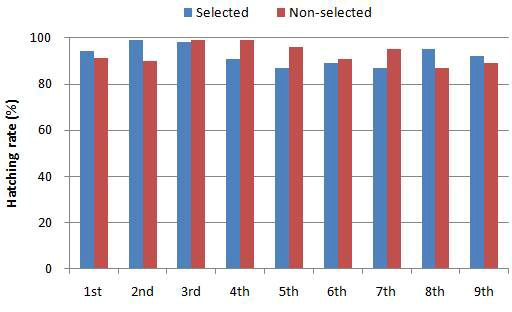 Hatching rate of fertilized eggs produced by natural matings between selected and non-selected red sea bream (Pagrus major)