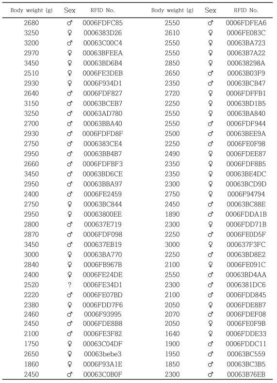 참돔 표지 선발 친어별 체중과 RFID 번호(6년생 132 마리)(계속)