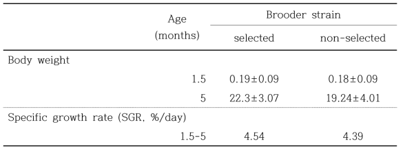 선발과 비선발 친어군으로부터 생산한 자손의 5개월 동안의 성장특성