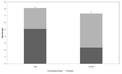 구멍갈파래와 모자반의 효소당화 결과 얻어진 Glucose 절대량 비교 결과