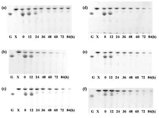 Surface aeration rate를 통한 Fig 1의 배양 상층액의 TLC 분석. Surface aeration rate ; (a) 0, (b) 30, (c) 50, (d) 100, (e) 400, (f) 600 (mL/min)