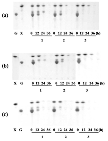 surface-aeration rate을 이용한 Repeated-batch 배양액의 TLC결과. surface-aeration rate; (a) 30, (b) 100, and (c) 600 (mL/min)