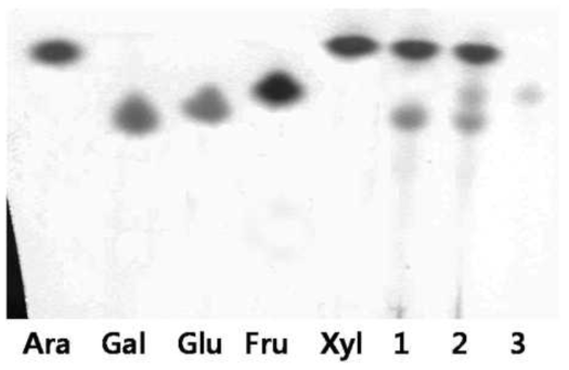구멍갈파래와 CSL의 단당류 TLC 분석 결과. Ara, Gal, Glu, Fru 와 Xyl 는 각각 standard인 arabinose, galactose, glucose, fructose 와 xylose, 1;구멍갈파래 가수분해물, 2; CSH 배지, 3; CSL