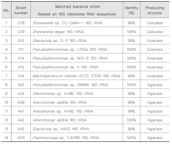 16s rRNA sequence를 이용한 유전학적 동정 결과