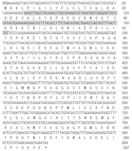 Flavobacteriaceae bacterium S85의 acetylated xylanase 유전자 분석