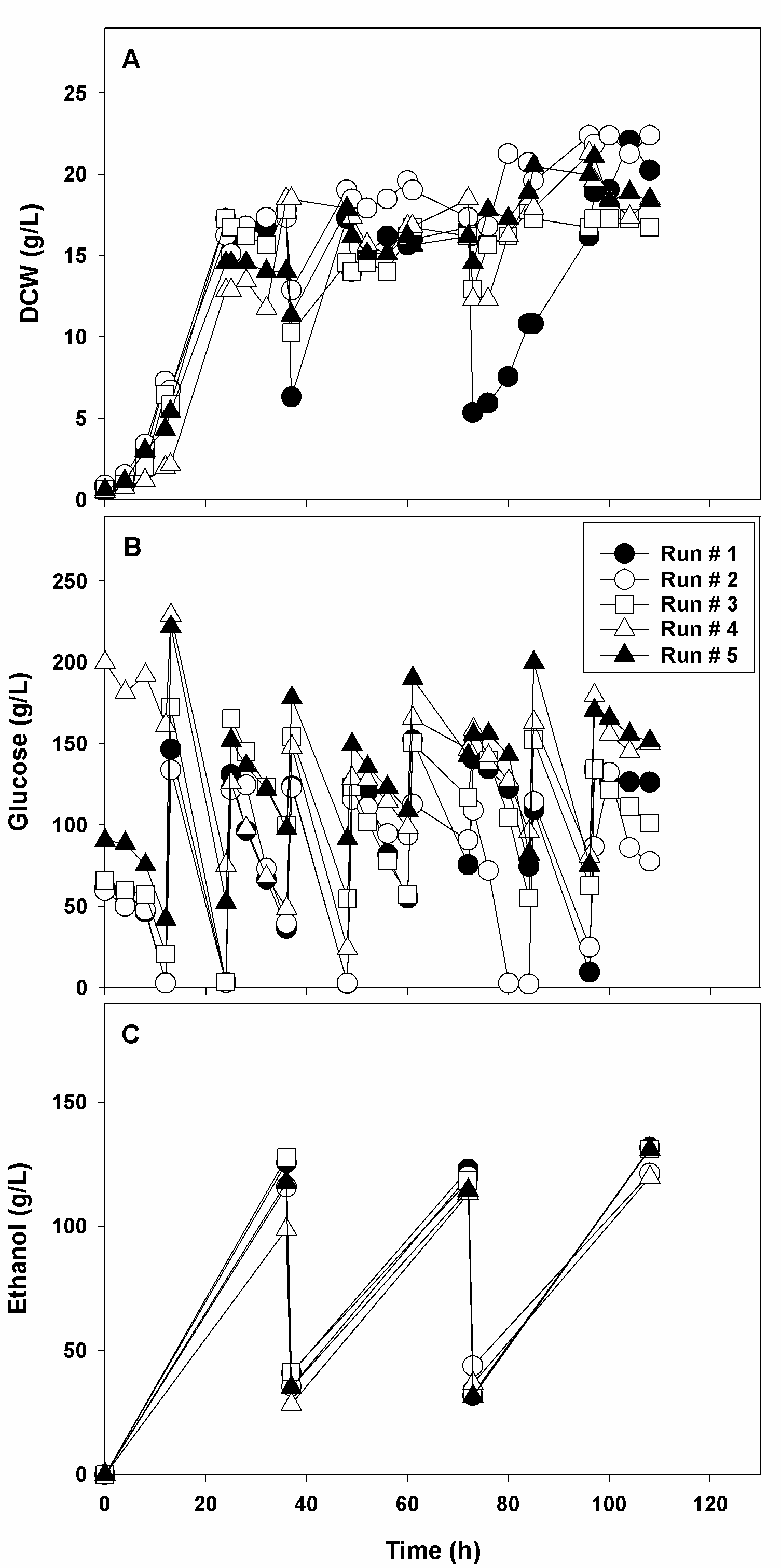 S. cerevisiae ATCC 96581의 반복 유가식 에탄올 배양 (A) Dry cell weight, (B) Glucose 소비 (C) Ethanol 생산