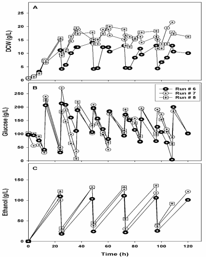 S. cerevisiae ATCC 96581의 반복 유가식 배양. (A) Dry cell weight, (B) Glucose 소비, (C) ethanol 생산