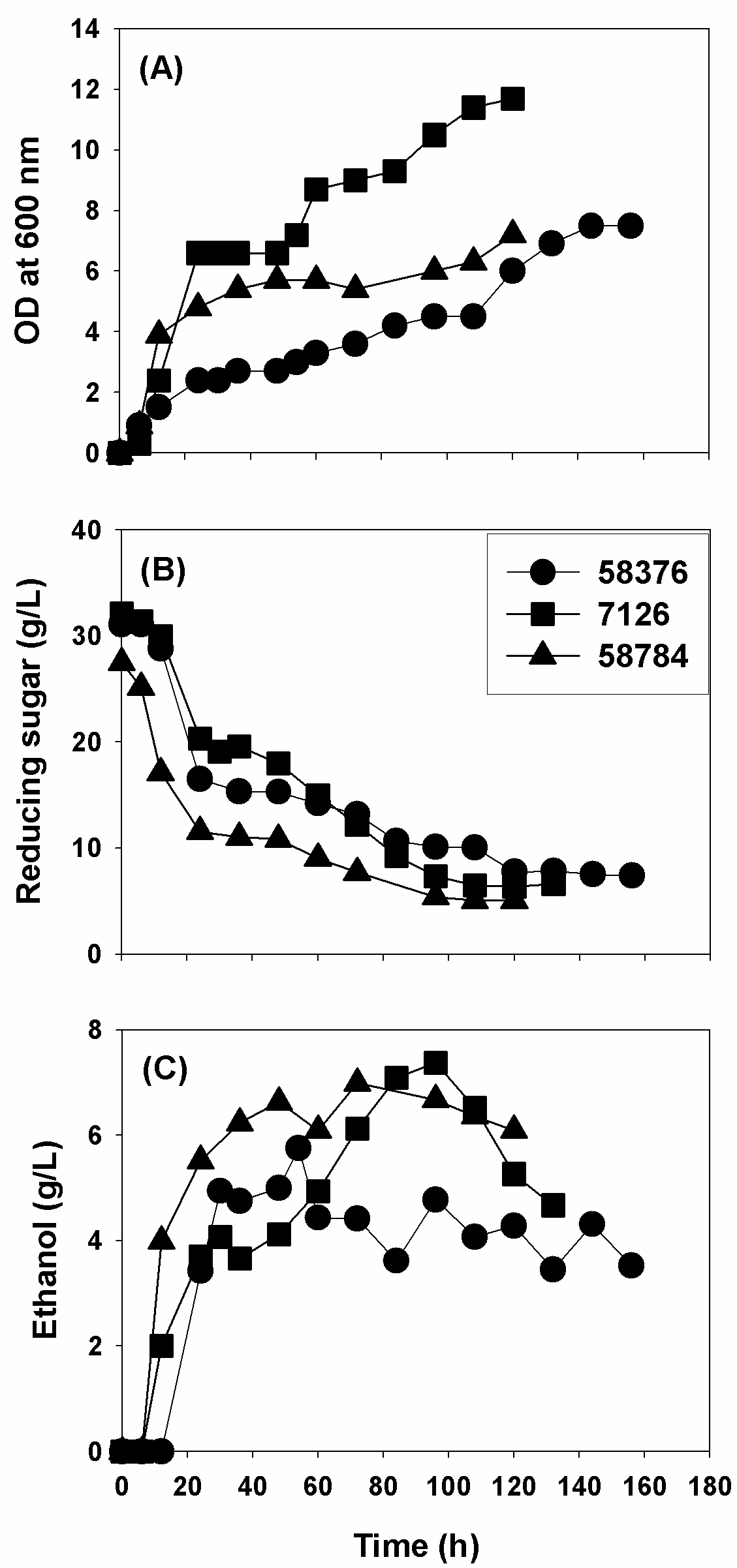 모자반 가수분해물을 이용한 58376, 7126, 58784의 Fermenter culture. (A) cell growth, (B) residual reducing sugar, (C) ethanol production