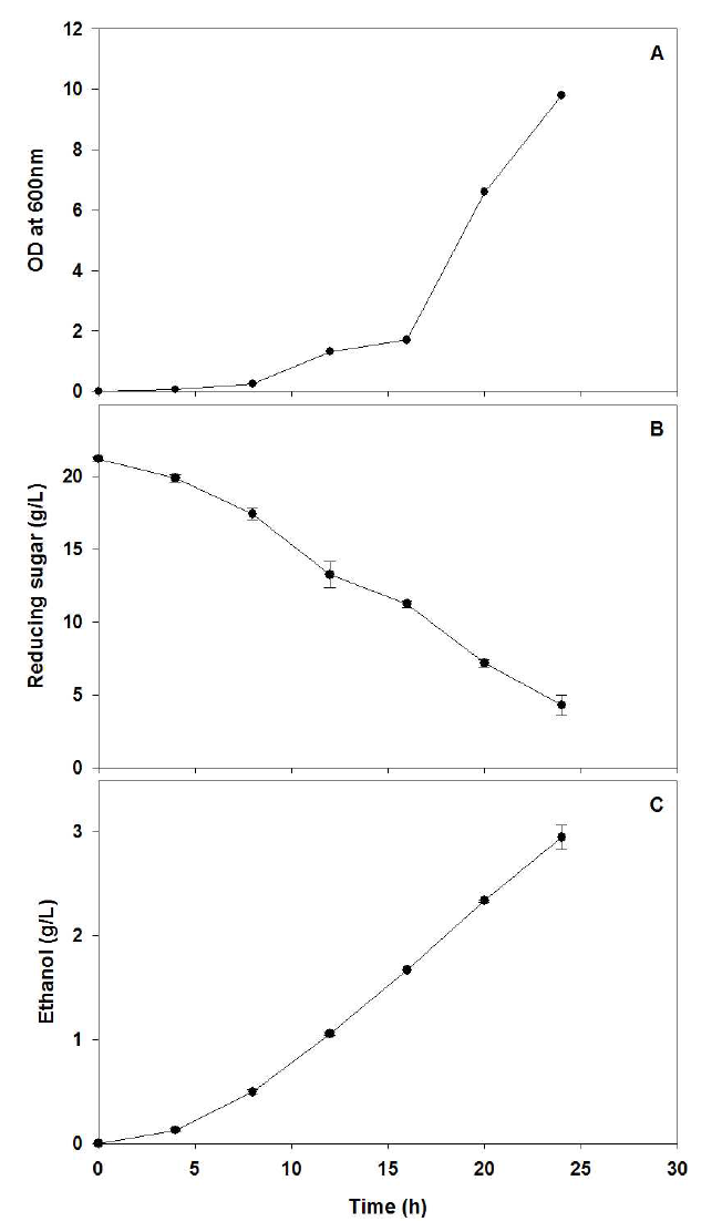 DEAE corncob을 이용하여 연속적인 bioethanol 생산 A; growth curve, B; 환원당 소비 C; bioethanol 생산