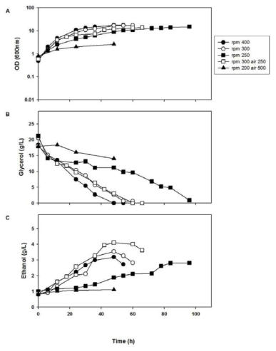 Surface aeration을 통한 P.tannophilus ATCC 32691의 ethanol 발효 (A) 세포성장곡선, (B) glycerol 소비곡선,(C) ethanol 생산곡선. (●)surface air 500mL/min, 400rpm(○)surface air 500mL/min, 300rpm (■)surface air 500mL/min, 250rpm(□)surface air 250mL/min, 300rpm (▲)surface air 250mL/min, 250rpm