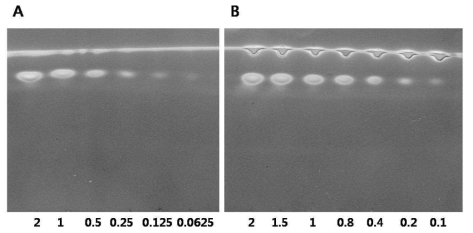 물과 Biodiesel에 넣은 glycerol의 TLC (A)glycerol in water (B)glycerol in biodiesel