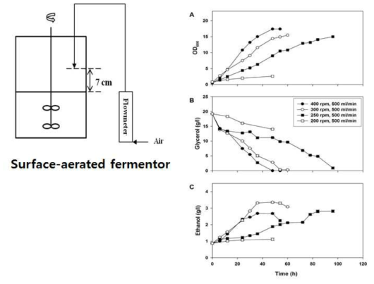 글리세롤 기반 교반 속도에 따른 Pachsolen tannophilus의 에탄올 생성능