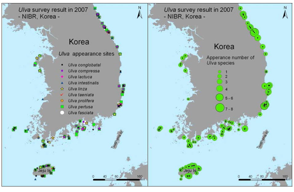 파래 출현 정보 지도 - 지역별 출현종 분포와 출현 종류의 수