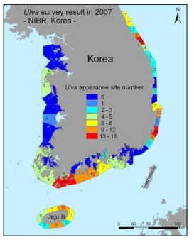 연안 각 구역별 파래(Ulva) 출현 수 지도