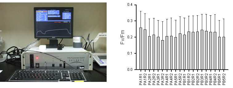 FIRe (fluorescence induction and relaxation)방법을 이용하여 분석한 광합성 효율(Fv/Fm)의 평균값
