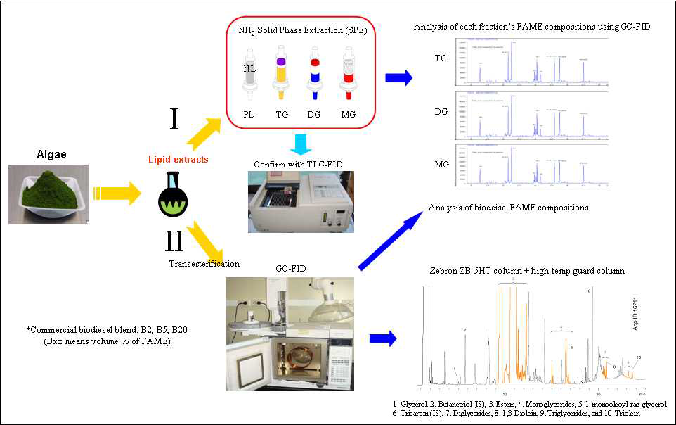 Schematic diagram of analytical procedures of biodiesel extracted from microalgae. I- Analytical procedure of extracted lipid composition; II- Analytical procedure of biodiesel quality