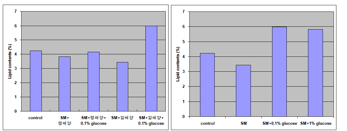 예비실험조건 1 및 2에 따른 지질함량 변화