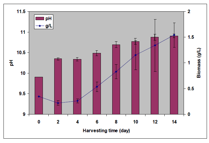 Spirulina platensis의 배양주기별 pH 및 biomass함량변화