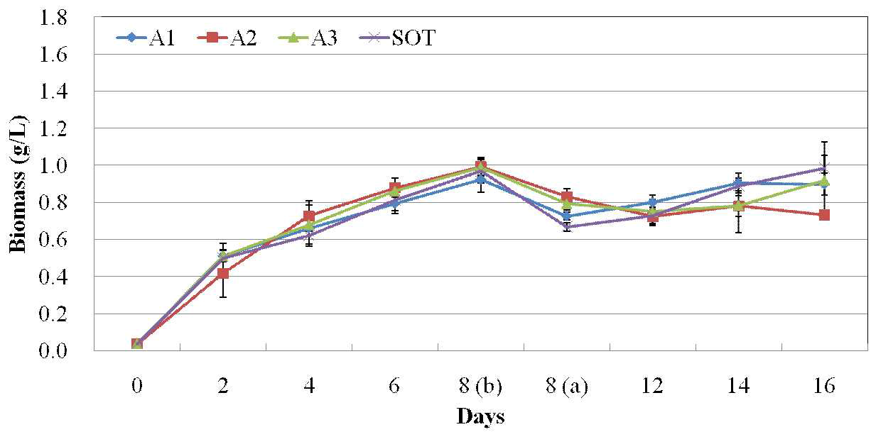 A 실험구 배지의 생물량(Biomass) 변화