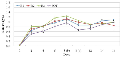 B 실험구 배지의 생물량(Biomass) 변화