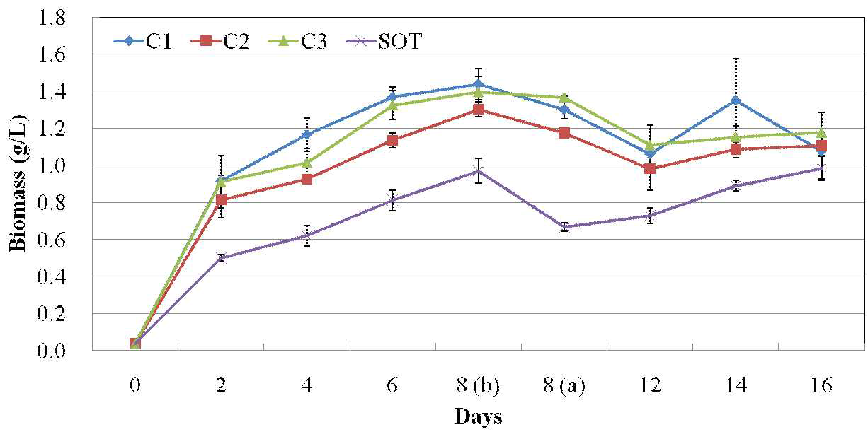 C 실험구 배지의 생물량(Biomass) 변화