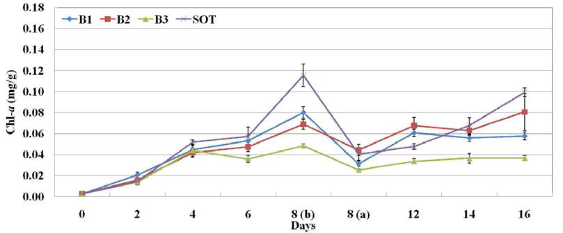 B 실험구의 클로로필 a 함량의 변화