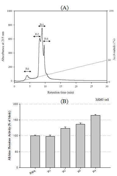 (A) 역상 HPLC 패턴 분석 (B) 분획별 ALP 활성 분석