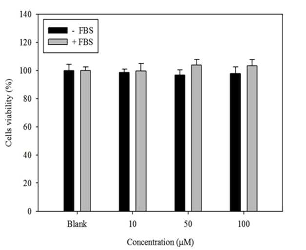 P1, P2의 HT1080 cell viability