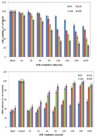 UVB 조사에 의한 세포 생존능 및 LHD 생성 효과