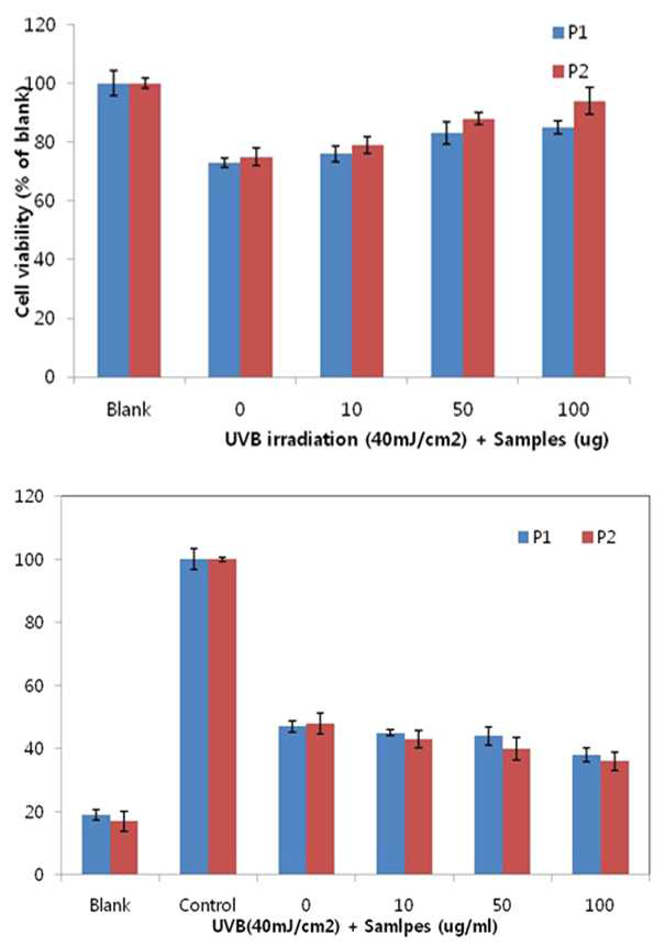 P1, P2 처리에 따른 UVB 보호 효과
