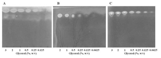 용매 조성에 따른 글리세롤의 TLC 분석. (A) acetone : butanol : distilled water (8 : 1 : 1, v/v). (B) Butanol : distilled water (1 : 1, v/v). (C) acetonitrile : distilled water (85 : 15, v/v). Chromatogram