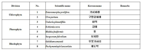 대상종 목록