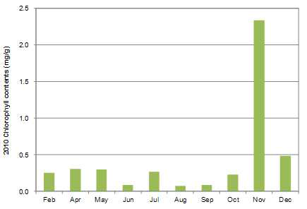 2010년도 채집한 구멍갈파래의 chlorophyll 함량 변화