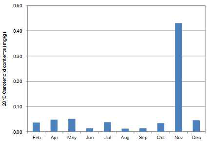 2010년도 채집한 구멍갈파래의 carotenoid 함량 변화
