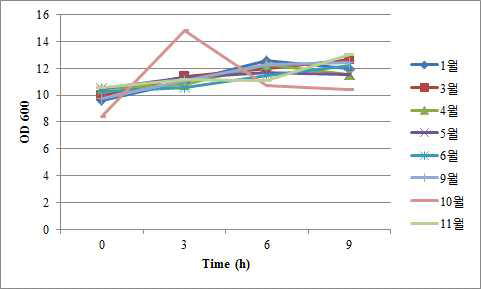 발효 시간에 따른 효모의 성장 곡선