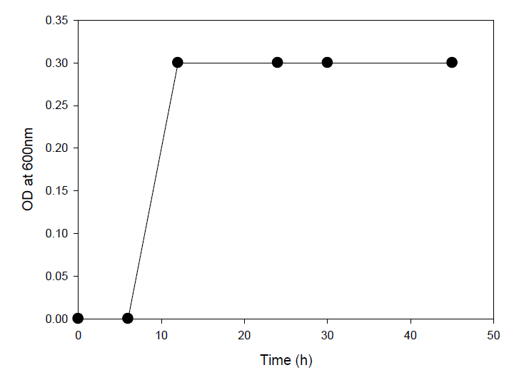 구멍갈파래 가수분해물로 배양한 S. cerevisiae 1024의 성장곡선