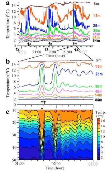 (a) 동해 ESROB 관측을 통해 얻어진 수온의 시계열. 19시간 간격으로 강한 크기의 내부파가 관측됨. (b) a의 관측기간 중 2시간 동안의 시계열 자료에서 나타나는 변동. (c) 수온의 연직분포 변화