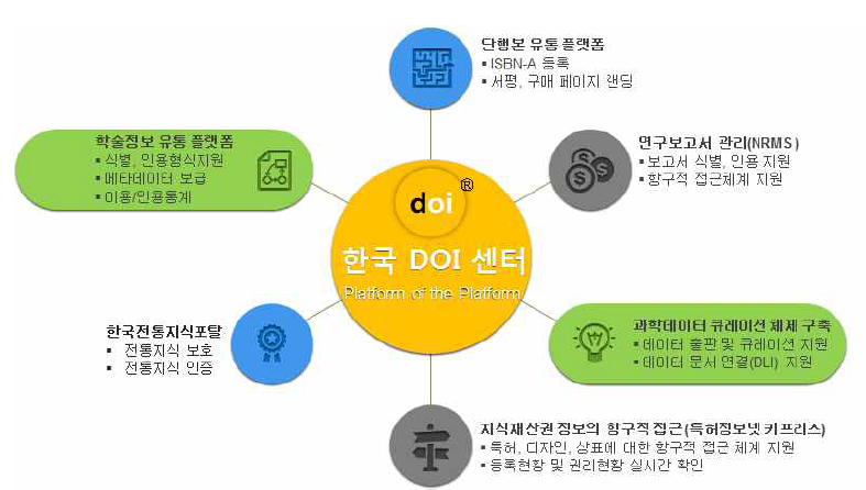 Conceptual Diagram of the DOI System