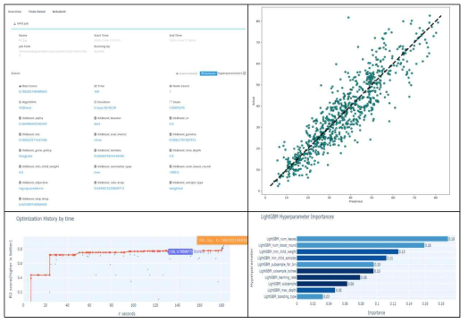 An Example of the HPO Job View: Overview