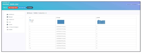 Dataset CSV Detail View