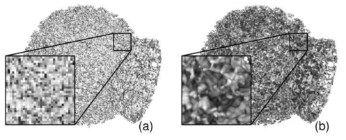 High-resolution up-scaling for a low-resolution volume data using GAN (a) A raw data with 320×240 resolution (b) Up-scaled result with 1280×960 resolution