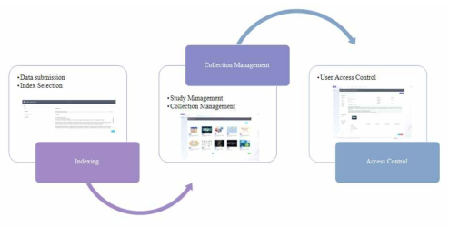 Data Management Process