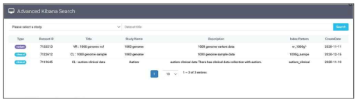 Advanced Kibana Search Main Page