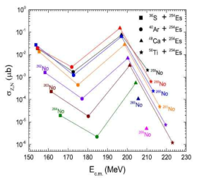 The result of production cross-section of neutron rich No isotopes (I)