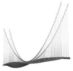 Reproduction of distortion through simulation of the collapse of the Tacoma bridge in Nurion supercomputer