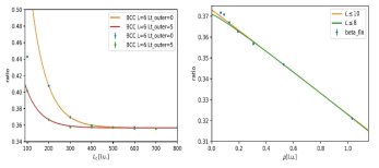 Calculation of Bertch parameters using NLEFT