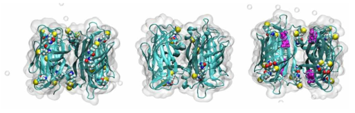 Biomolecules with different electrical signals due to different internal structures