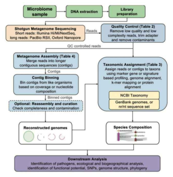 Metagenome analysis procedure for microbiome research