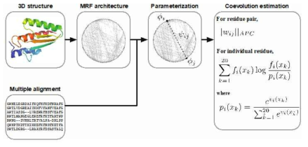 Functional location detection model using protein structure and evolution information