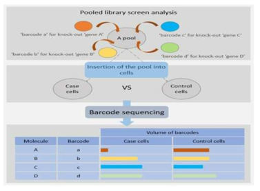 Basic principles of screen analysis based on gene function suppression technology